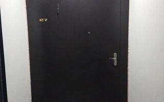 металлическая тамбурная дверь от производителя